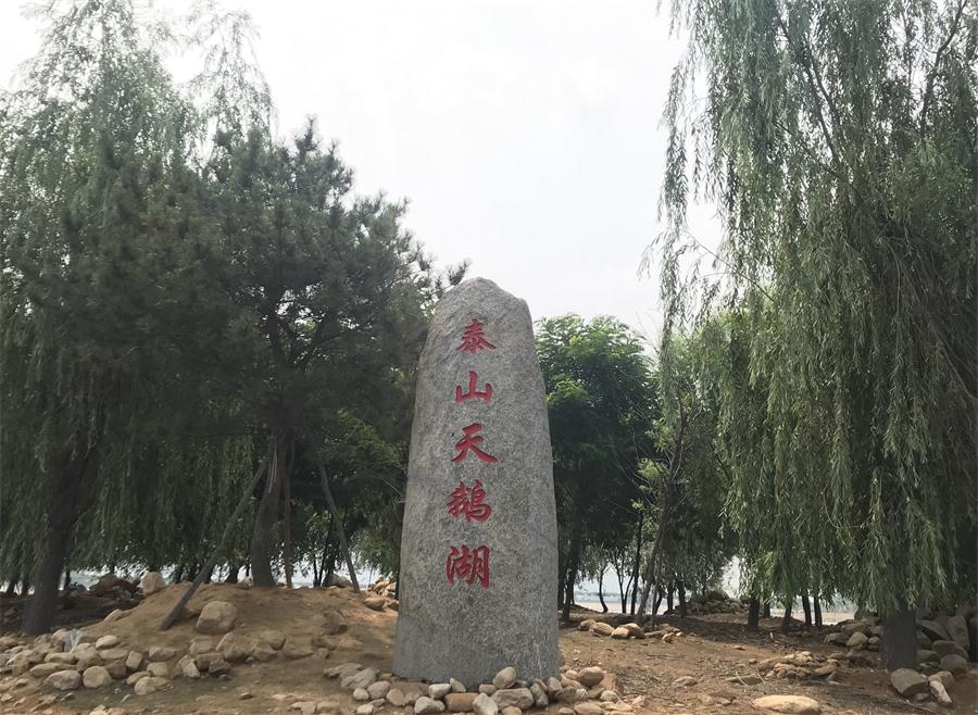 天鵝湖風(fēng)景區(qū)（泰山）速覽！(圖12)